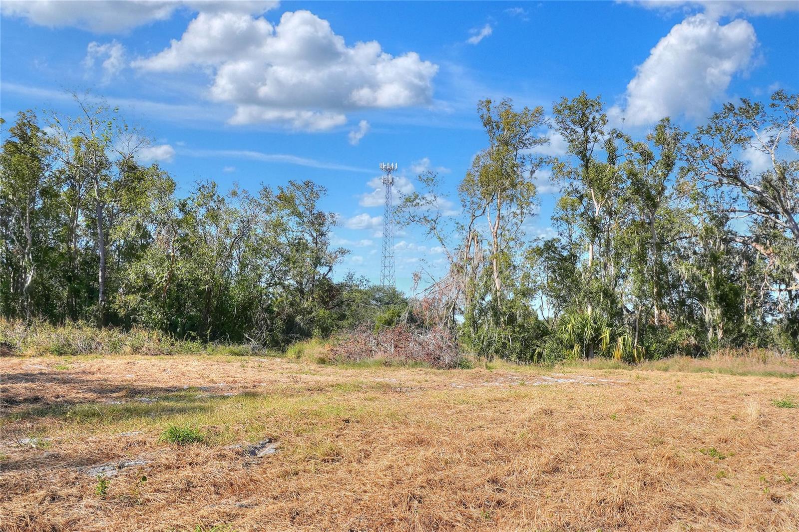 17744 BLEDSOE LOOP