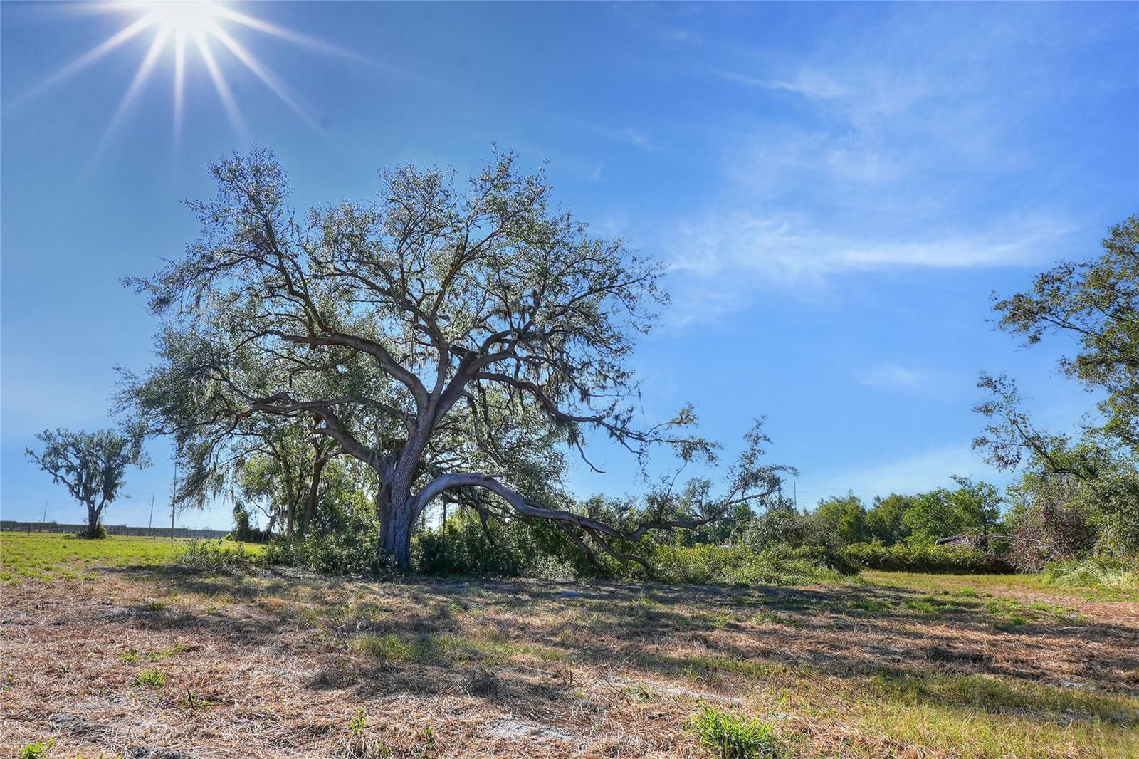 17744 BLEDSOE LOOP