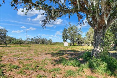17744 BLEDSOE LOOP LITHIA FL 33547