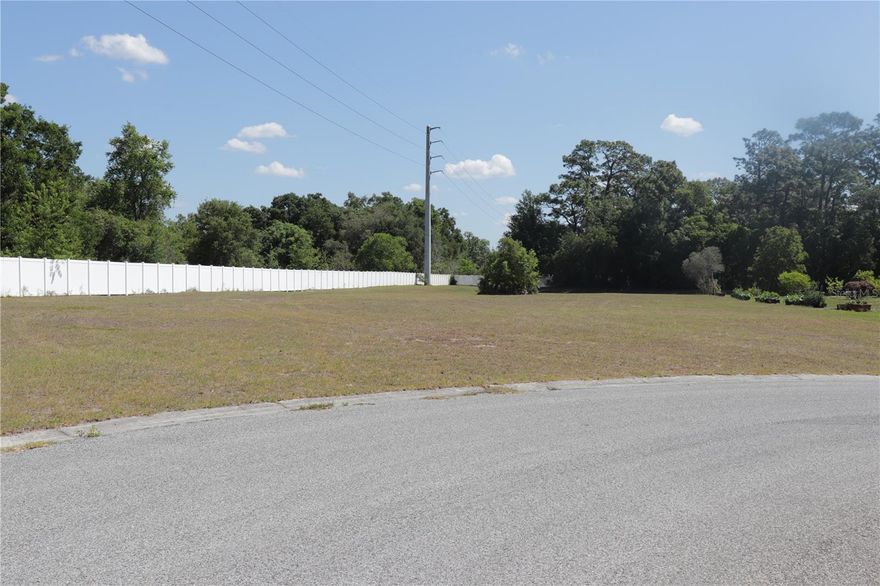 Amazing opportunity to own 1.2 acres situated in a gated 8 lot community. This lot is already cleared and ready for you to build your custom dream home with your choice of builder (2,500 sq. ft MINIMUM sized home required). Located in a NON-FLOOD zone (zone X) and situated at the end of the cul-du-sac. If you are looking for extra space and still have the security of having a gated community this is the lot for you. This is your chance to own the last of the available lots to build your dream home in this community. Perfect location to any and all amenities while being settled in a tranquil setting that gives you space to breathe. Starkey Wilderness Park (8 miles), Downtown New Port Richey & Pithlachascotee River Boat Ramp off Main St. (9 miles) which welcomes powerboats, sailboats, kayaks, canoes, and paddleboards (max. boat size allowed 30 feet), Whiskey Joes (8 miles), Hudson Beach Park (6 miles), Tampa International Airport (37 miles), and Sponge Docks (17 miles). Buy a Little Piece of Florida Now!