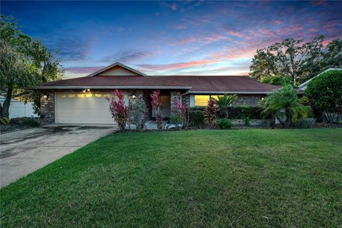 A home in PLANT CITY