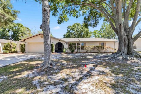2007 PEACH TREE BOULEVARD ST CLOUD FL 34769