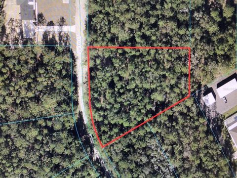 0 SW 133 COURT OCALA FL 34481