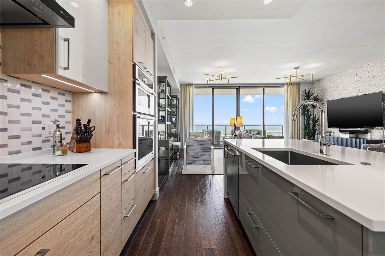 ONE ST. PETERSBURG - Residential