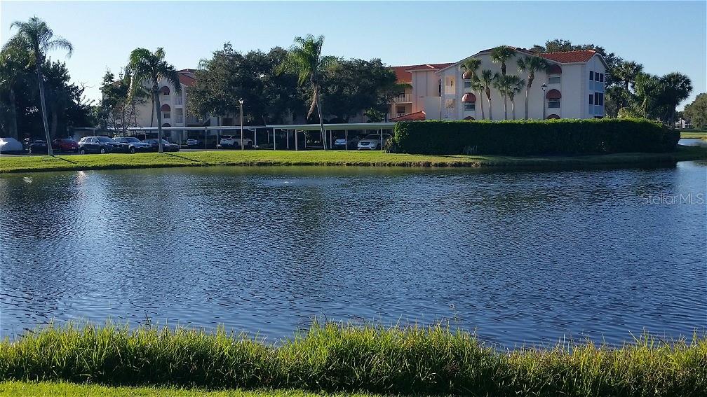 STONEYBROOK CLUBSIDE 1 - Residential Lease