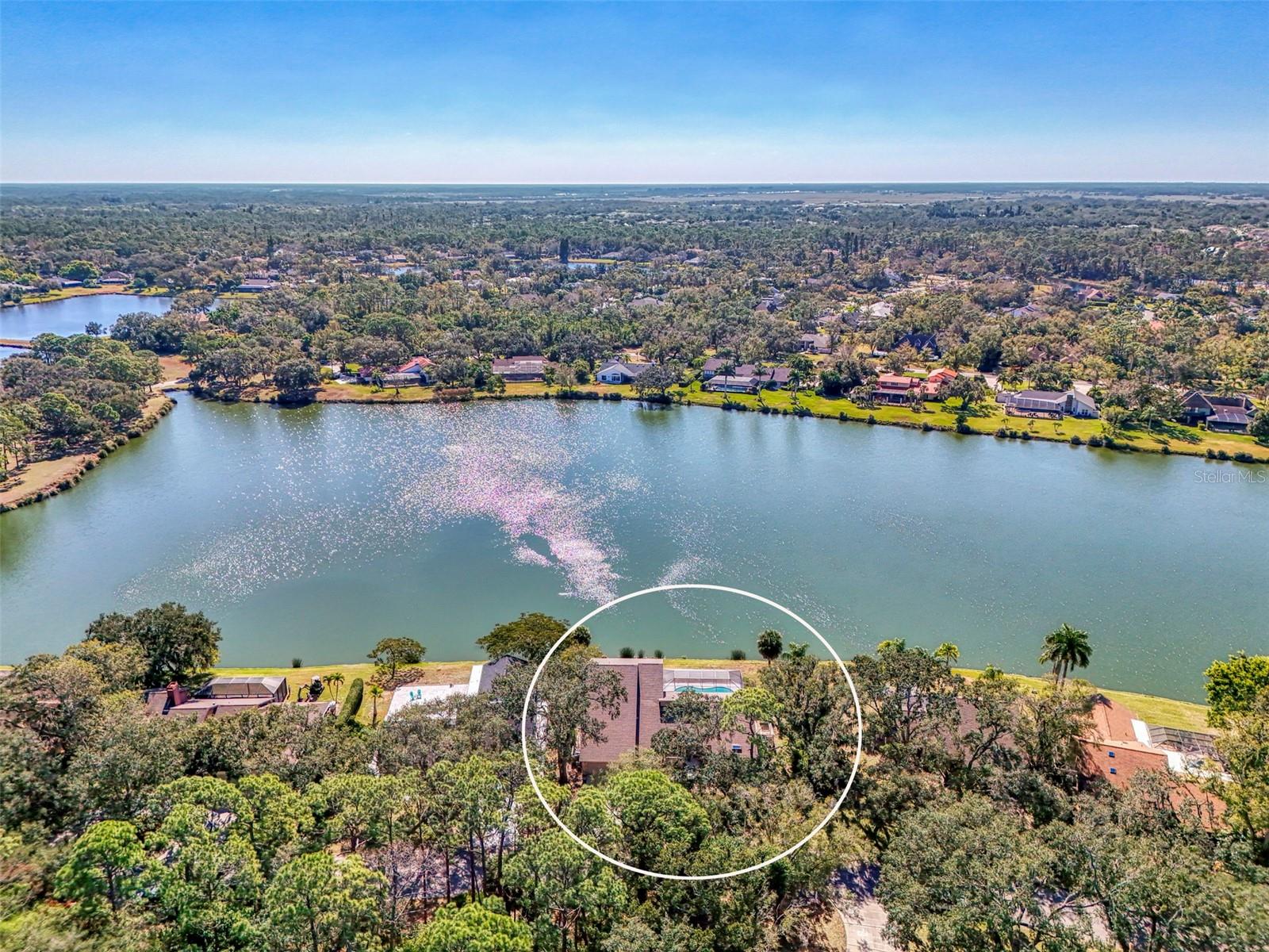 5028 WILLOW LEAF WAY