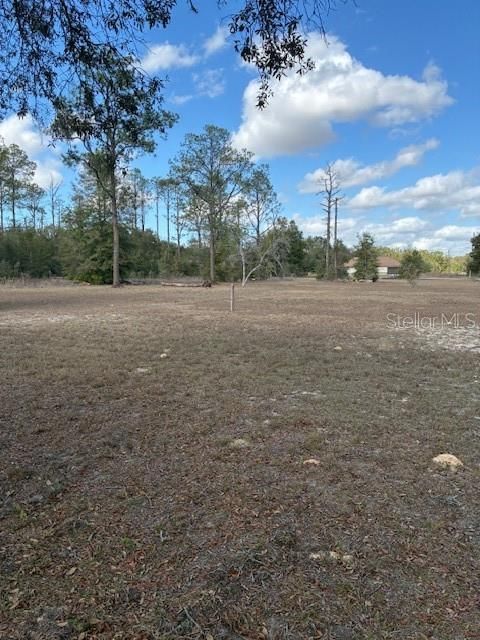 Tiny photo for 20929 SW Audubon Avenue, Dunnellon, FL 34431 (MLS # OM717363)
