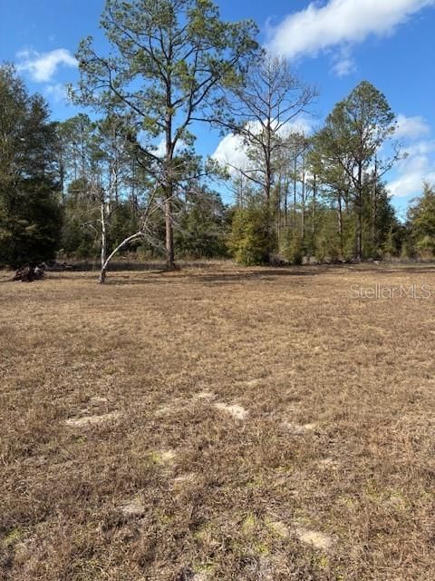 Tiny photo for 20929 SW Audubon Avenue, Dunnellon, FL 34431 (MLS # OM717363)