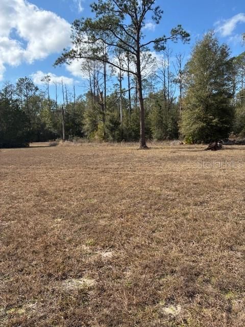 Tiny photo for 20929 SW Audubon Avenue, Dunnellon, FL 34431 (MLS # OM717363)