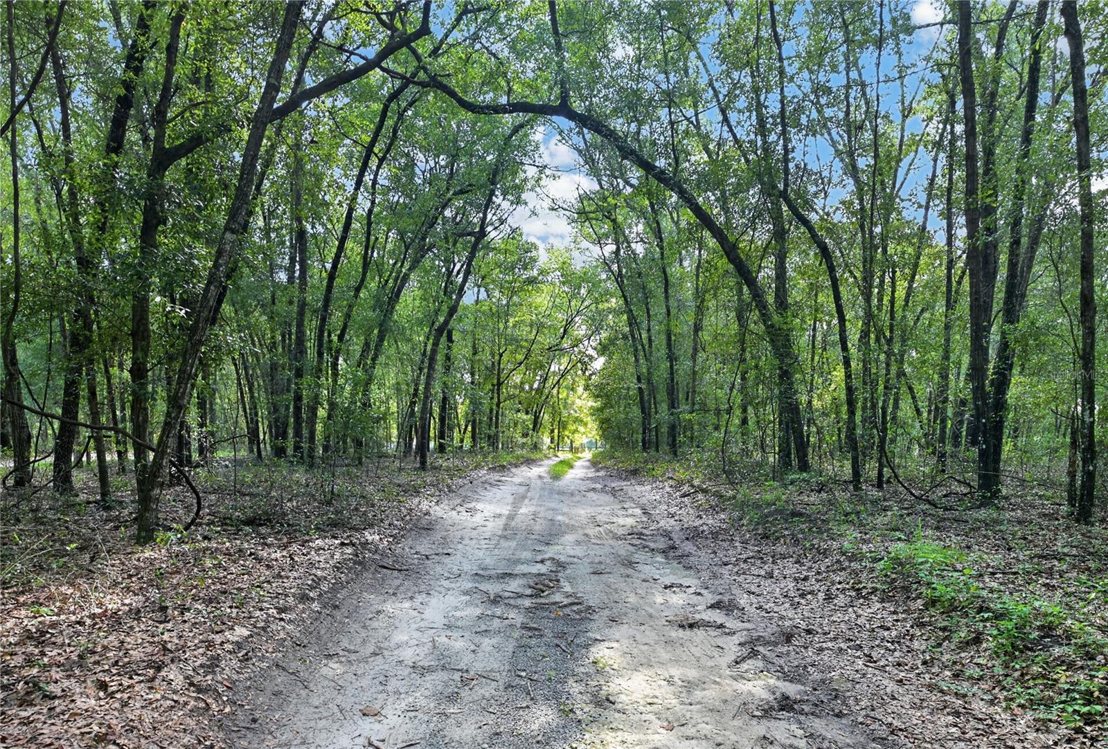 9813 NW STATE ROAD 45
