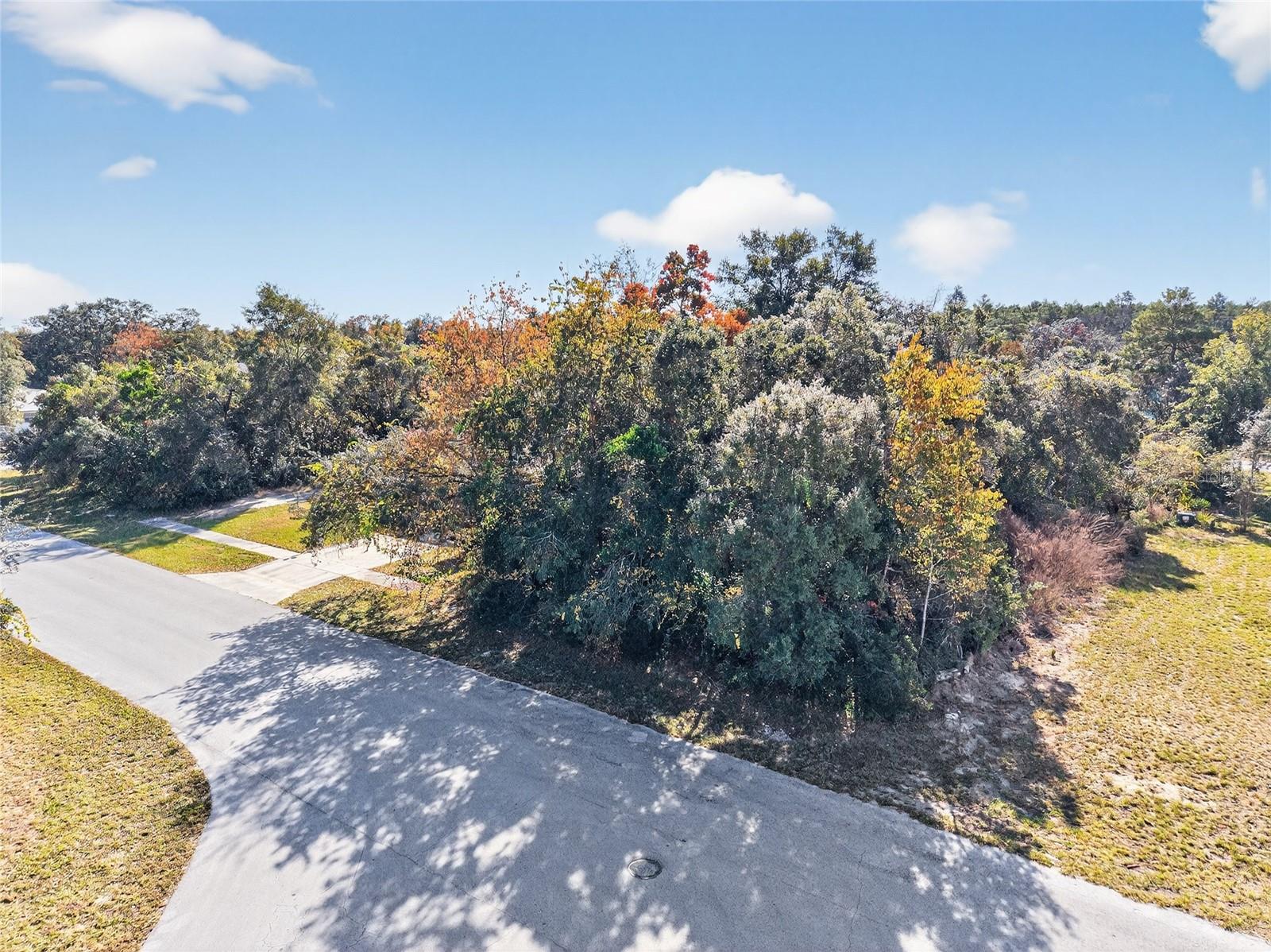 MARION OAKS UN TWO - Land