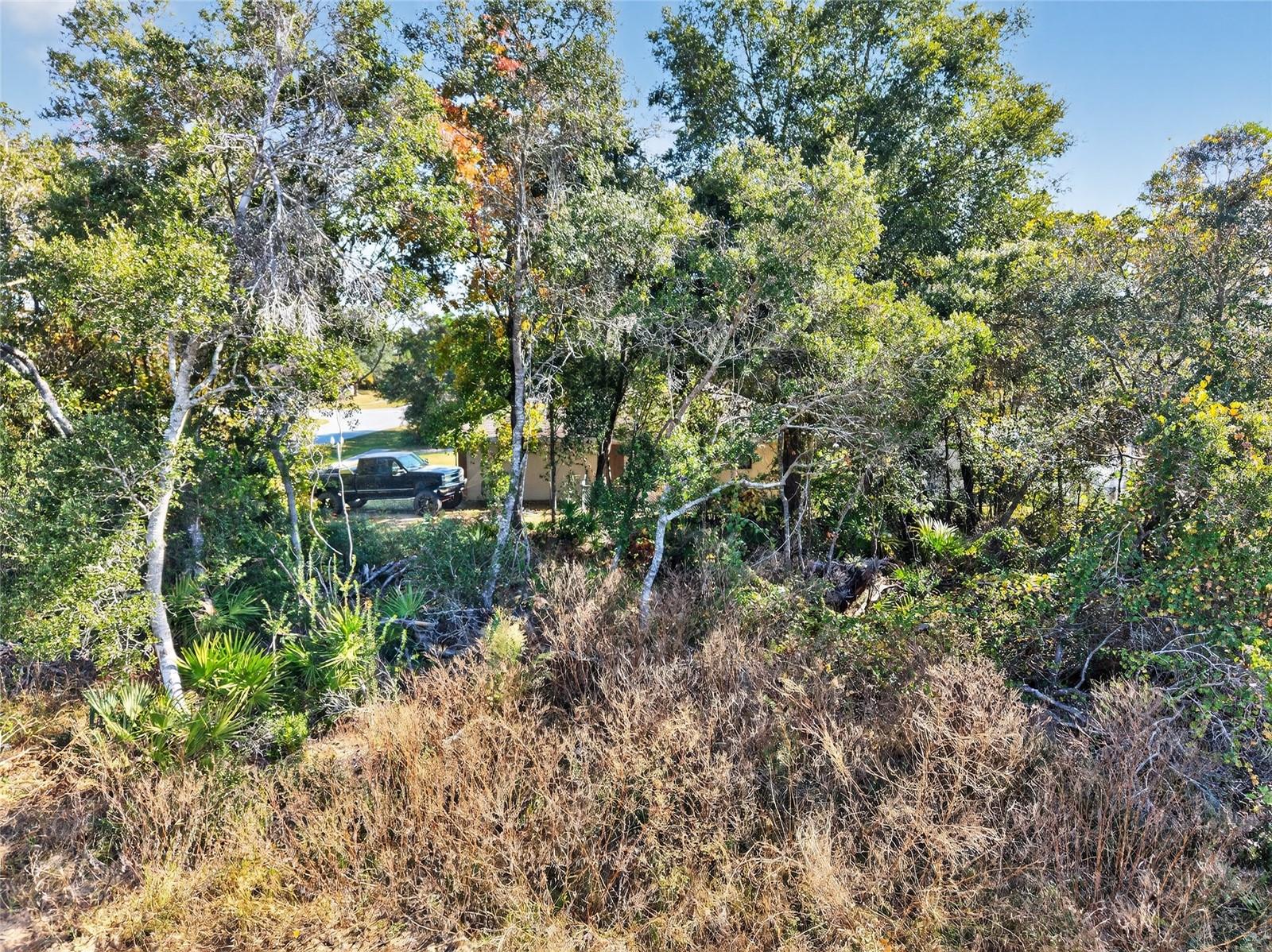 MARION OAKS UN TWO - Land