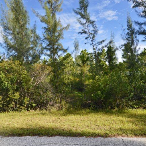 PORT CHARLOTTE SEC 94 01 STREP - Land