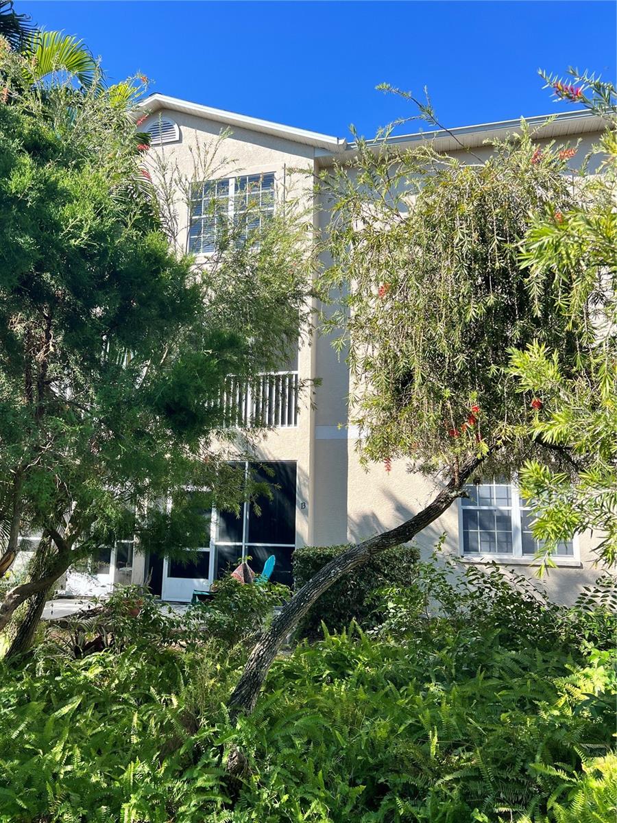 PINESTONE AT PALMER RANCH - Residential Lease