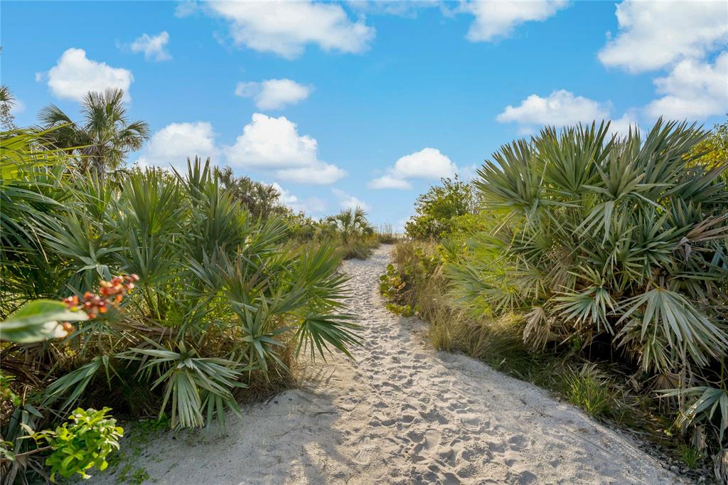 LIDO C - Residential