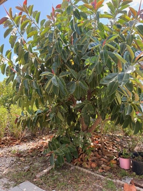 OYSTER CREEK MHP - Residential