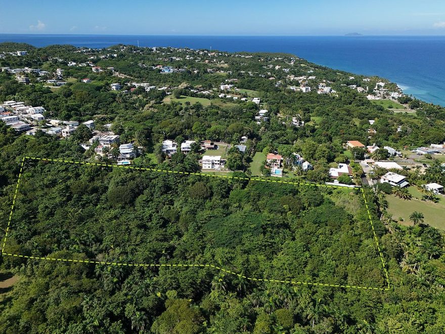 Build your dream property in one of Rincón’s most desirable areas! This 7.16-acre (28,985 m²) lot is perfectly situated in Puntas, just minutes from Rincón’s world-famous beaches, surf breaks, and restaurants. Offering both space and privacy, this property captures the essence of coastal living while keeping you close to everything that makes Rincón so special.

The land features a mix of gently rolling terrain and lush tropical surroundings, with several potential building sites that take advantage of the area’s natural beauty and refreshing ocean breezes. Ideal for a private estate, eco-retreat, or small development project, this lot provides endless opportunities in a location that continues to grow in demand.

Whether you’re envisioning a coastal retreat, income-producing villas, or a private hillside estate, this property offers the perfect canvas to bring your vision to life. Experience the best of Rincón — where the mountains meet the sea.