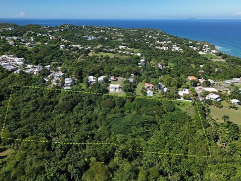 CALLE LAS PALMAS RINCON  00677