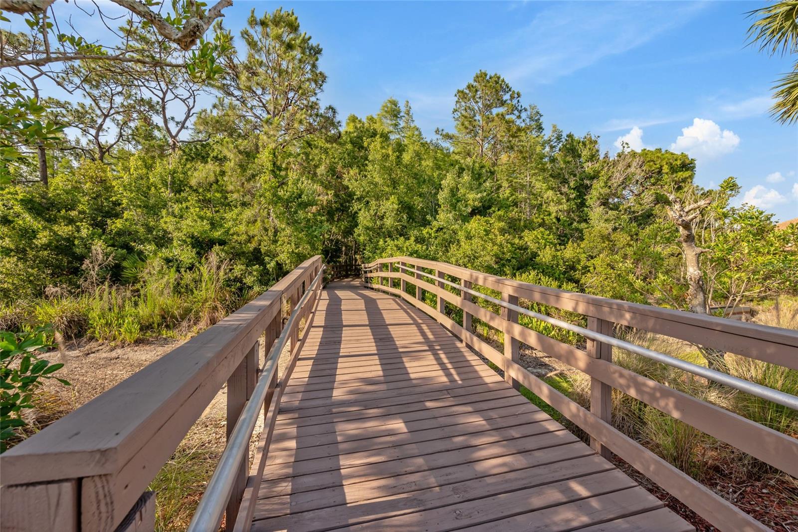 SABAL AT WYNDTREE - Residential