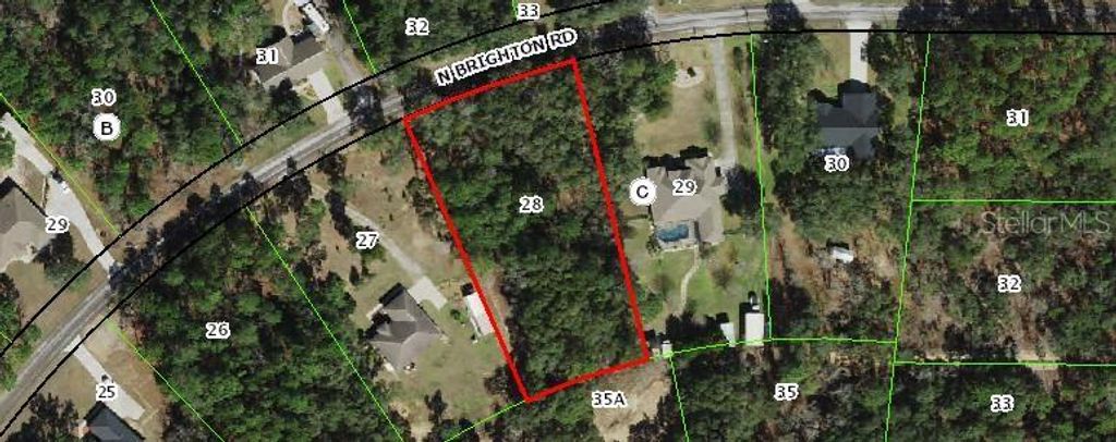 Photo of 609 N Brighton Road, Lecanto, FL 34461 (MLS # W7876277)