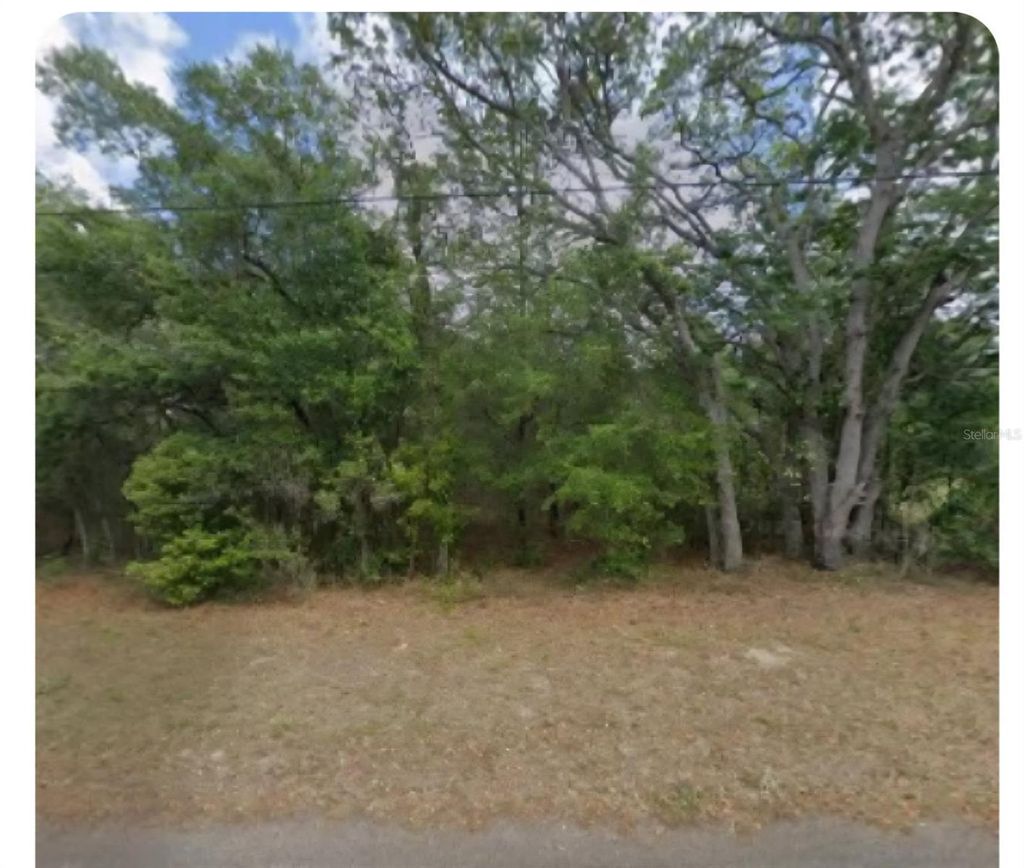 Photo of 609 N Brighton Road, Lecanto, FL 34461 (MLS # W7876277)