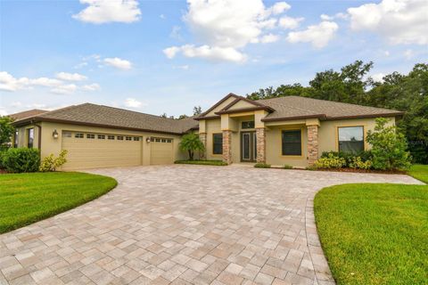 A home in DADE CITY