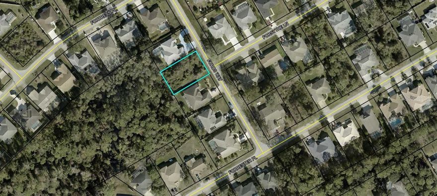 Beautiful lot in a beautiful neighborhood! Build your dream home in this sought-after community of Palm Harbor. Shopping, services, churches and civic organizations are all within close proximity.