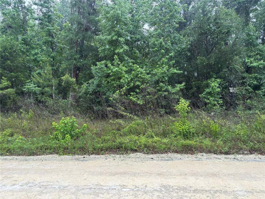Come check out this prime building lot in Rainbow Park.  Situated at 0.46 acres, this is a great opportunity for various investors.  Priced to sell.