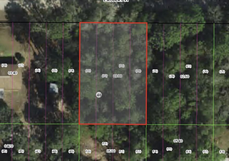 Discover the perfect spot to build your dream home or investment property in the heart of Inverness—a peaceful and growing community known for its small-town charm and natural beauty. This 0.22-acre lot sits in a quiet neighborhood surrounded by mature trees and established homes, offering privacy and tranquility while still being close to everything you need.
Enjoy the convenience of nearby shopping, restaurants, schools, and medical facilities, plus easy access to outdoor recreation like the Withlacoochee State Trail, Inverness Lake, and Crystal River for fishing, kayaking, and boating.

Property Highlights:

-0.26-acre lot ready for your custom home
-Easy access to Hwy 44 and US-41 for quick commutes
-Power and water available nearby (verify with county)
-Quiet neighborhood with established and new construction homes
-No HOA fees or deed restrictions

Whether you’re looking to build now or hold for future investment, this property is a great opportunity in one of Citrus County’s most sought-after areas.