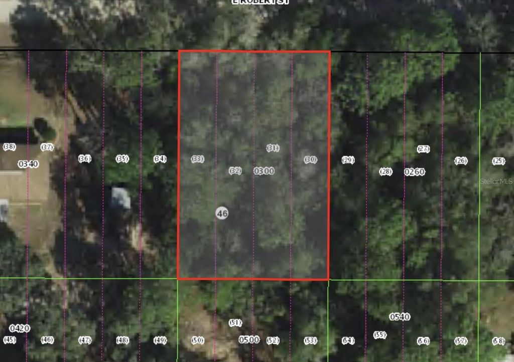 Photo of 3046 E Robert St, Inverness, FL 34453 (MLS # OM711326)