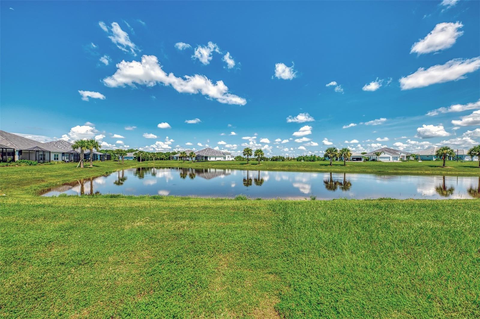WINDWARD/LAKEWOOD RANCH REP - Residential