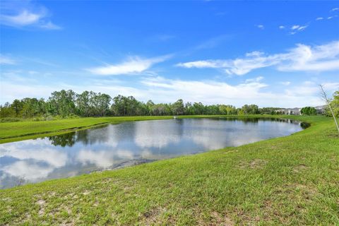 Tiny photo for 17635 Saw Palmetto Avenue, Clermont, FL 34714 (MLS # G5102688)