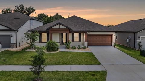Photo of 9405 Ibis Grove Boulevard, Wesley Chapel, FL 33545 (MLS # TB8504898)