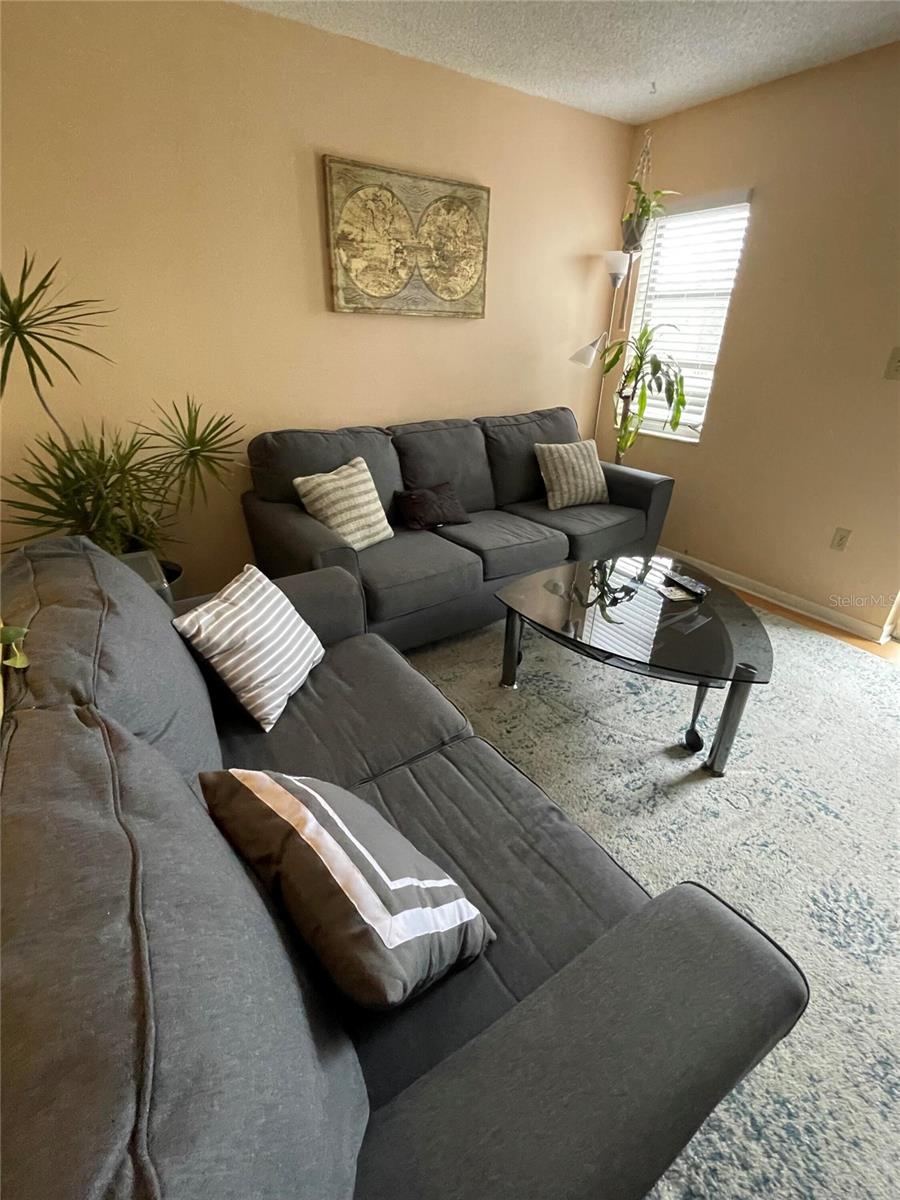 239 S MCMULLEN BOOTH ROAD 38