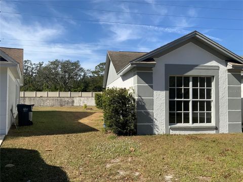 A home in VALRICO