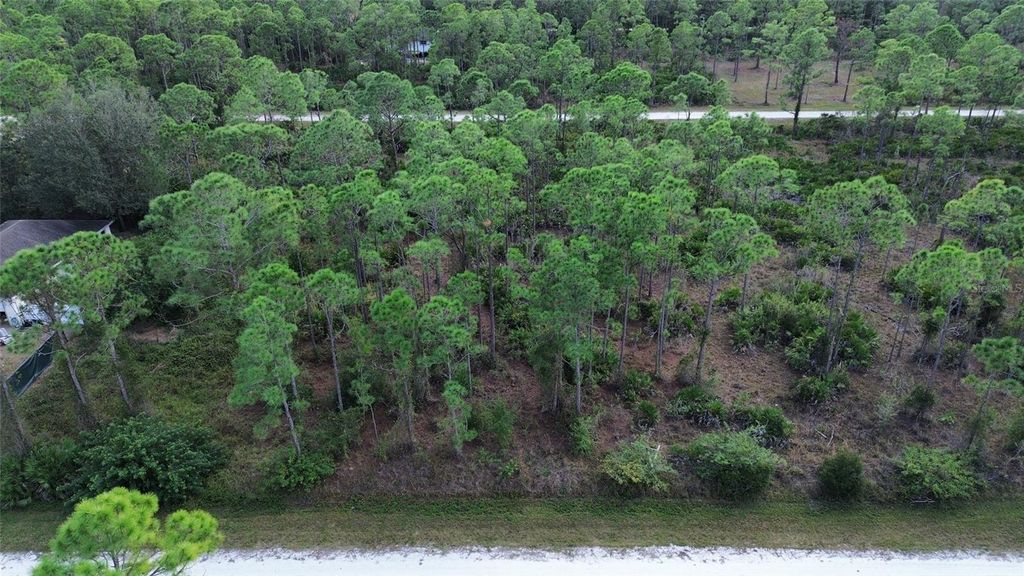 Photo of 28059 Crestwood Drive, Punta Gorda, FL 33955 (MLS # O6383044)