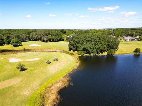 Tiny photo for 9013 Heathland Court, Mount Dora, FL 32757 (MLS # O6451477)