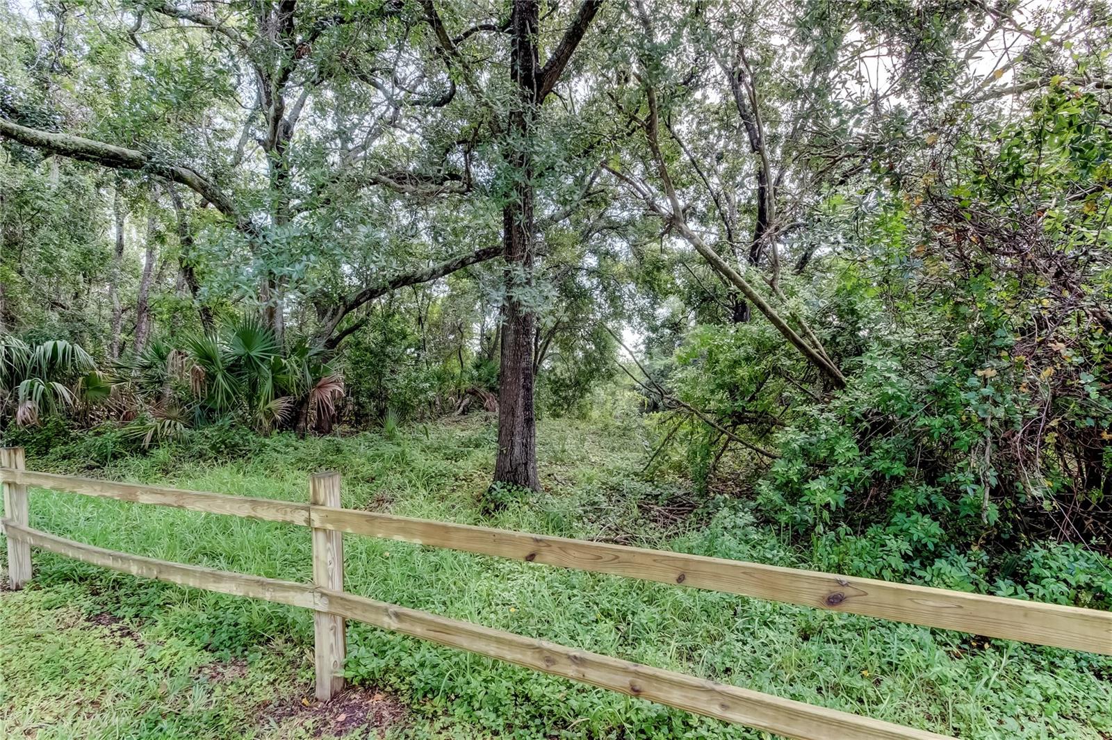 EAST LAKE WOODLANDS CYPRESS ESTATES - Residential