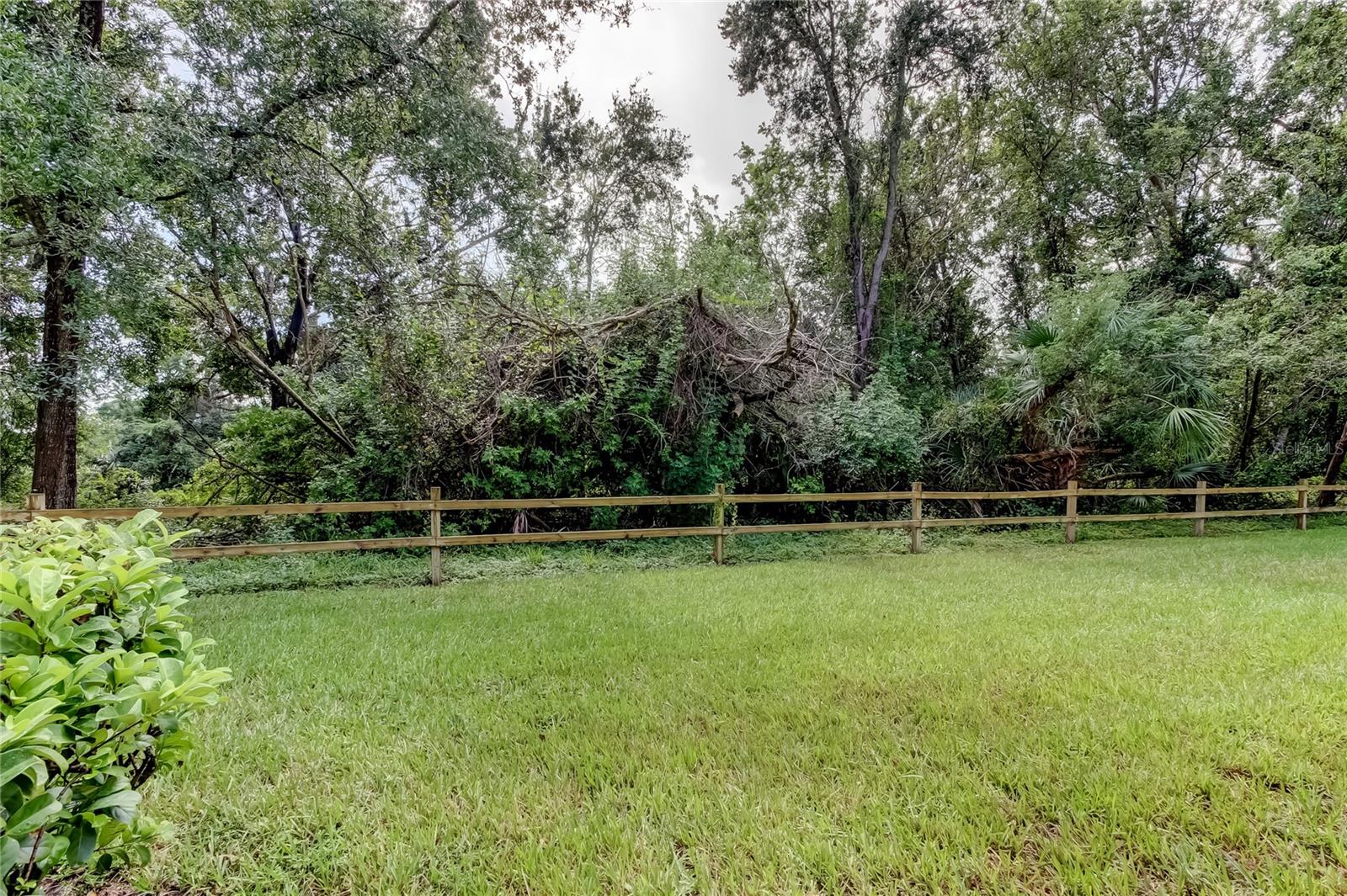 EAST LAKE WOODLANDS CYPRESS ESTATES - Residential