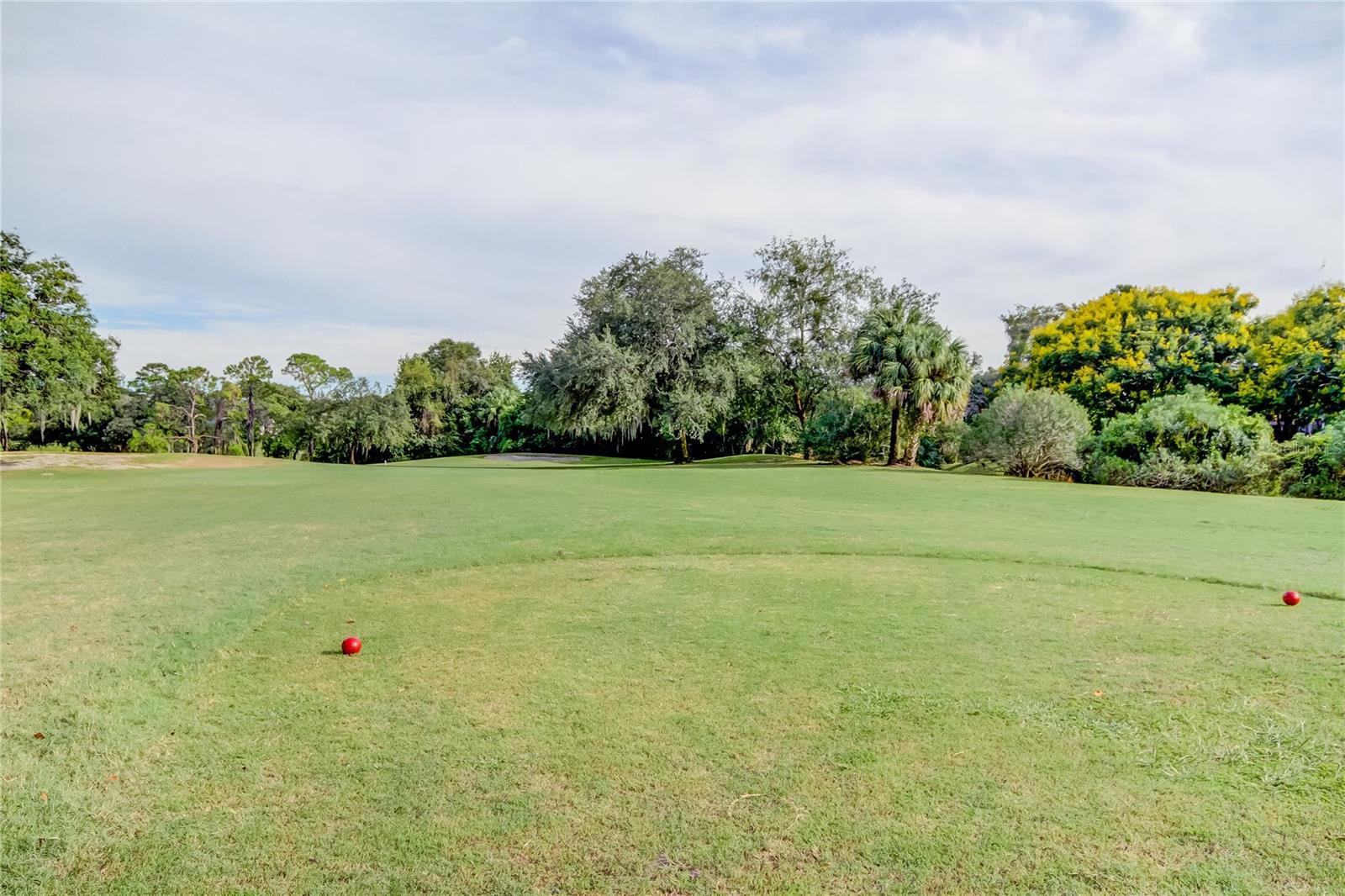 EAST LAKE WOODLANDS CYPRESS ESTATES - Residential