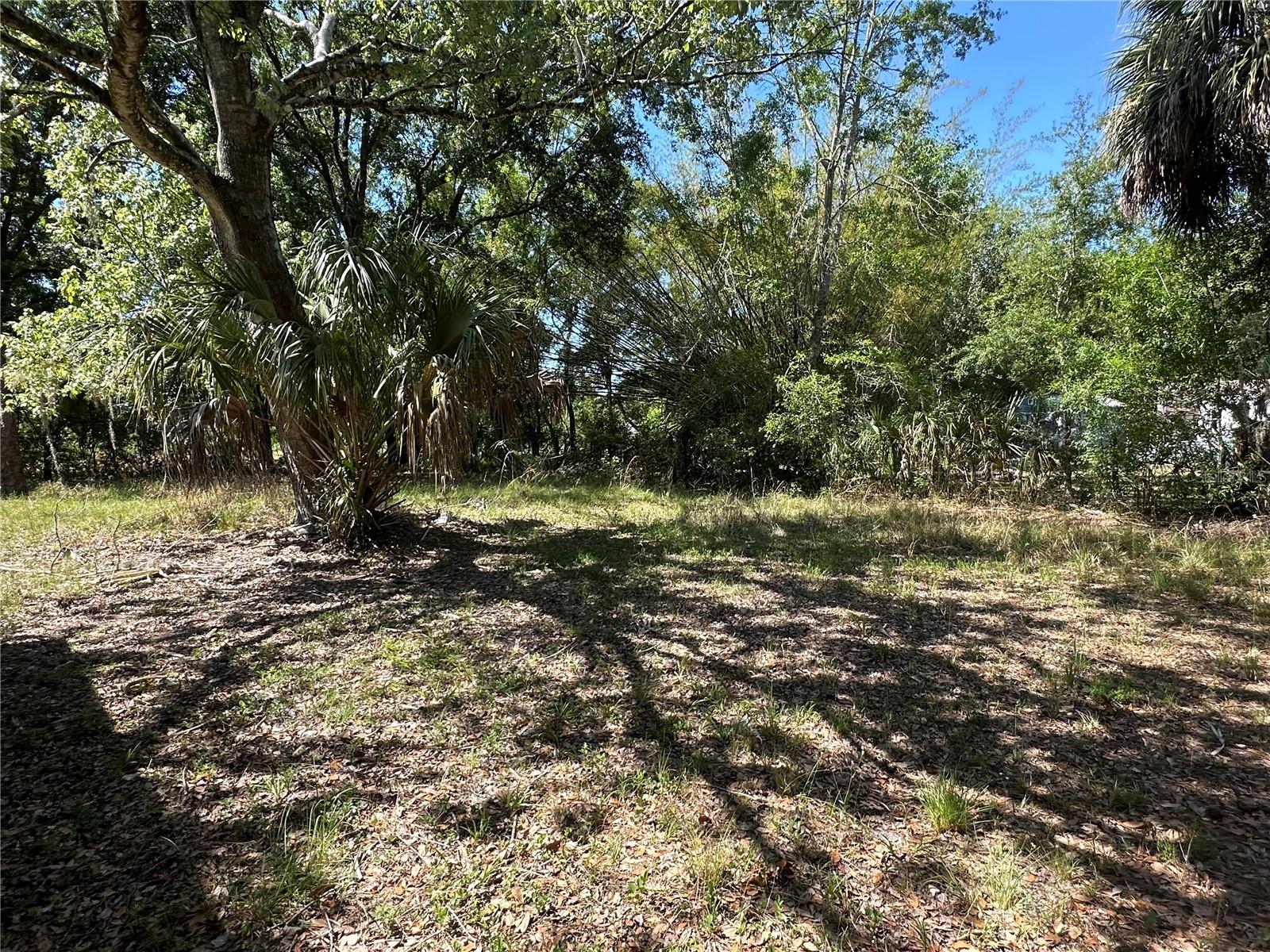 ANGUS VALLEY UNIT 3 UNREC - Residential