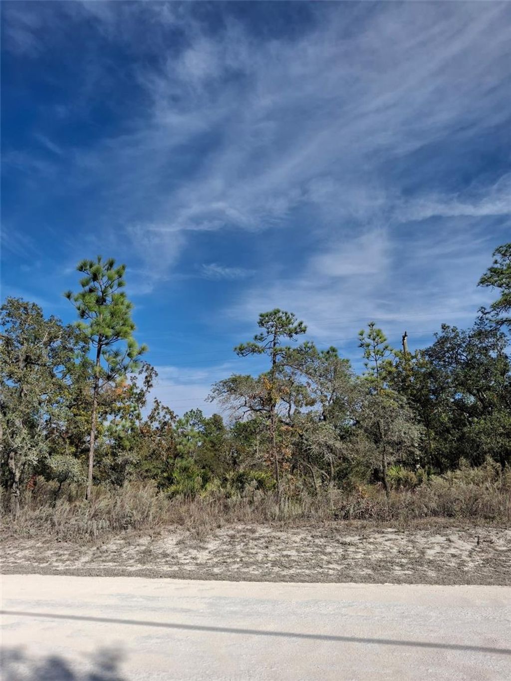 Photo of 15176 Gonzo Road, Weeki Wachee, FL 34614 (MLS # TB8451600)