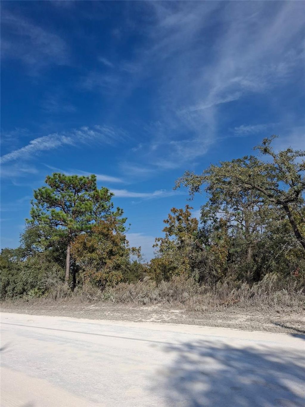 Photo of 15176 Gonzo Road, Weeki Wachee, FL 34614 (MLS # TB8451600)