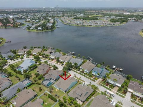 A home in APOLLO BEACH