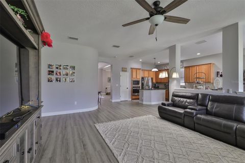 A home in APOLLO BEACH