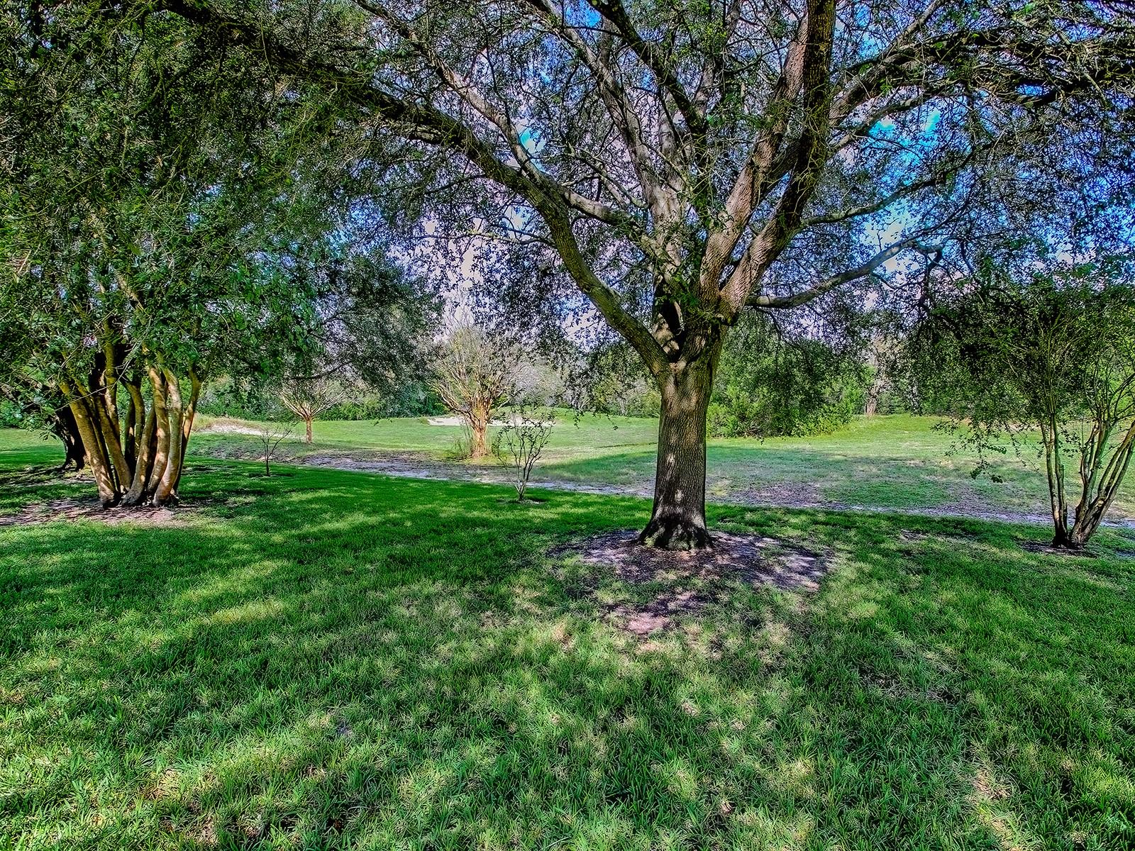 LADY LAKE LAKES PH 02 LT 01 BLK A - Residential