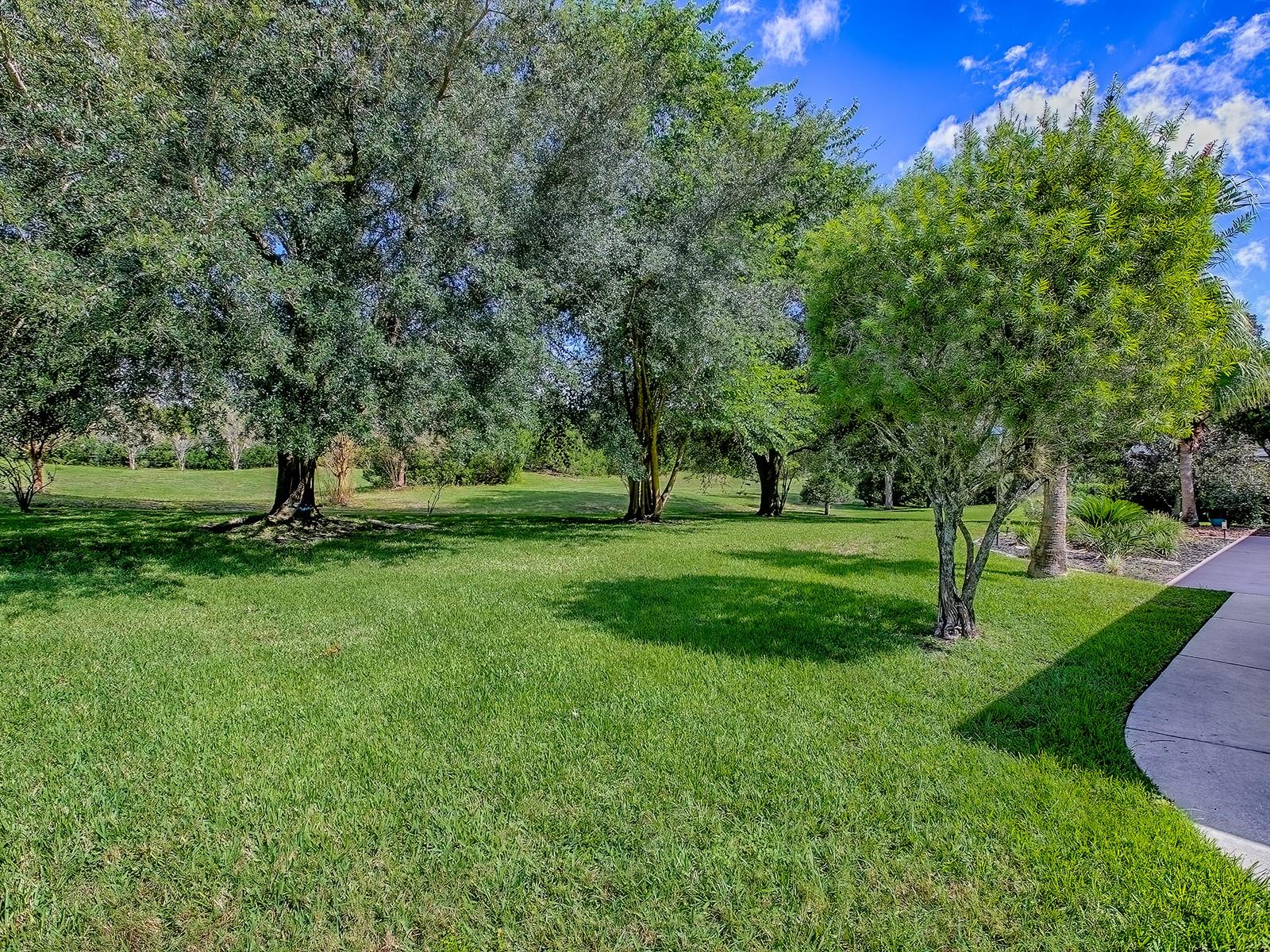 LADY LAKE LAKES PH 02 LT 01 BLK A - Residential