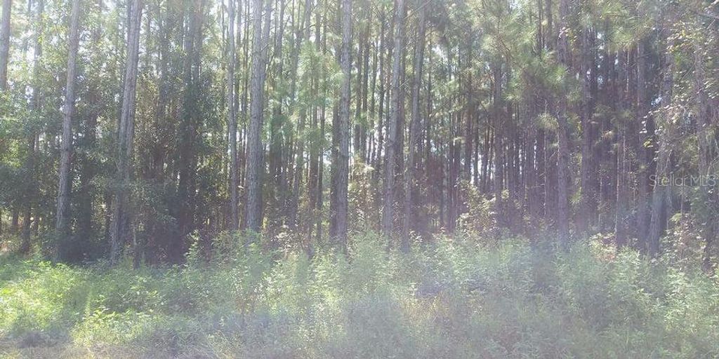 Photo of Commonwealth Avenue N, Polk City, FL 33868 (MLS # S5071648)