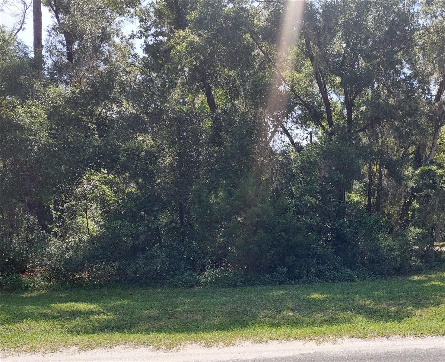 Southeast facing lot in Dunnellon Heights. This parcel offers an exquisite and tranquil setting, ideally suited for your dream home, this impeccably positioned lot presents a unique opportunity for discerning buyers. Seize the chance to submit your offer today! Very close to Rainbow river!