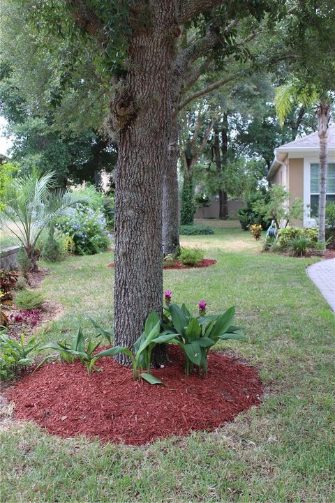 A home in APOPKA